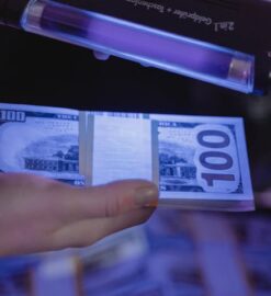 Detektor przewodów – jak wybrać wykrywacz kabli