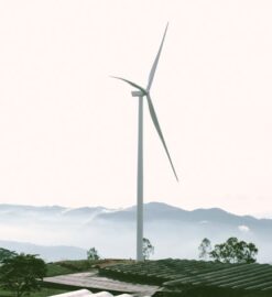 Jak inwestować w farmy wiatrowe w 2026 roku